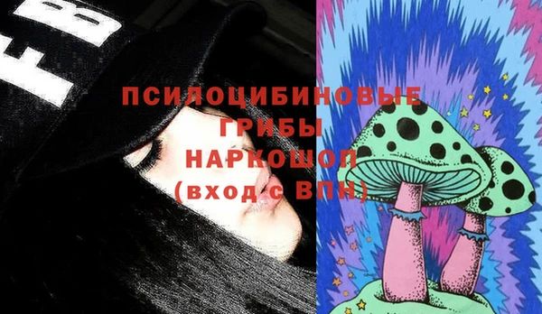 соль ск Гусиноозёрск