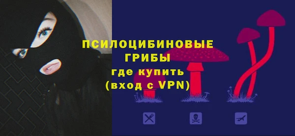 герыч Гусь-Хрустальный