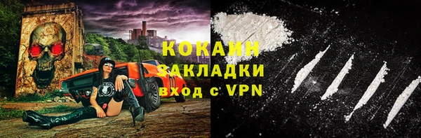 спайс Ельня