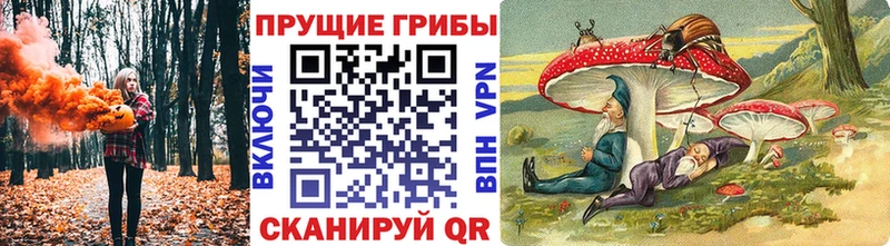 Купить  Елабуга  Галлюциногенные грибы мухоморы 